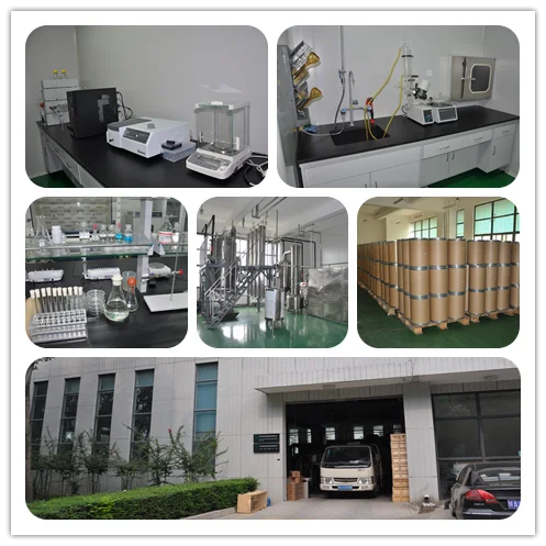 china andrographolide factory
