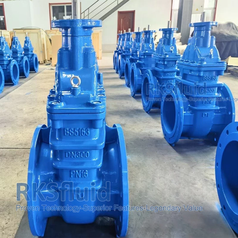 china ansi gate valve manufacturers