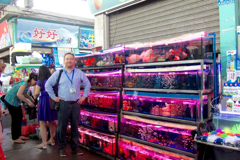 china aquarium supplies