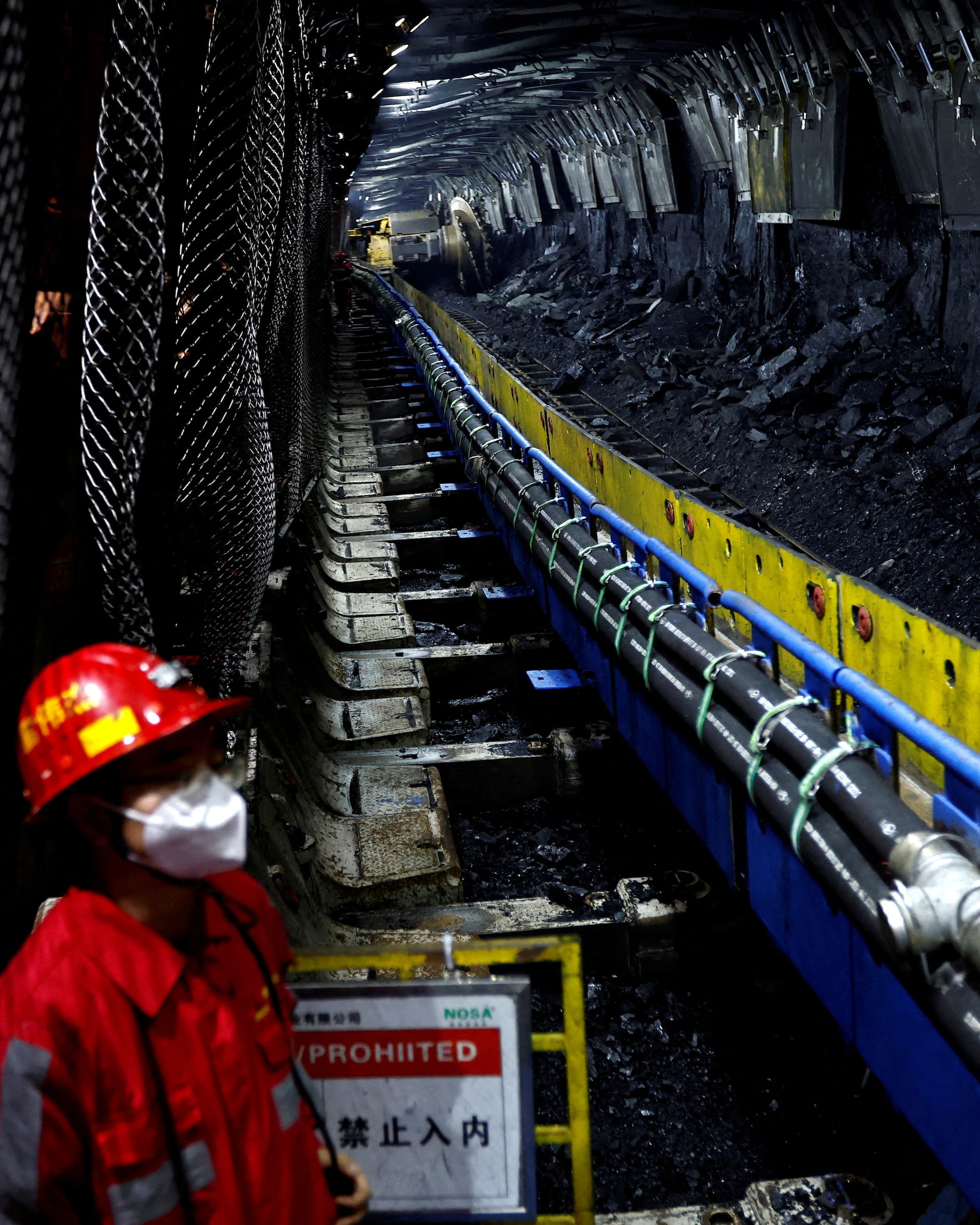 china automated coal factory