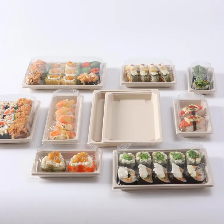 china bagasse pulp sushi box manufacture