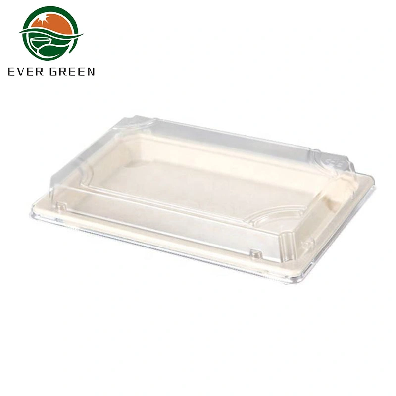 china bagasse pulp sushi box manufacture