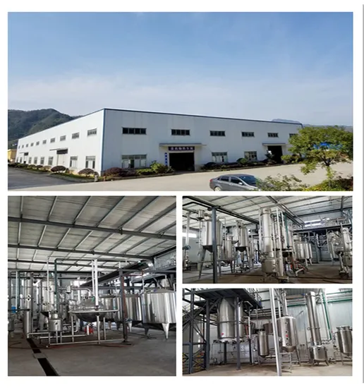 china baicalein powder factory China Factory