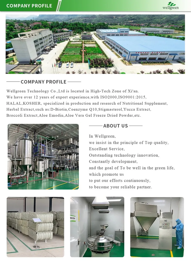 china baicalein powder factory