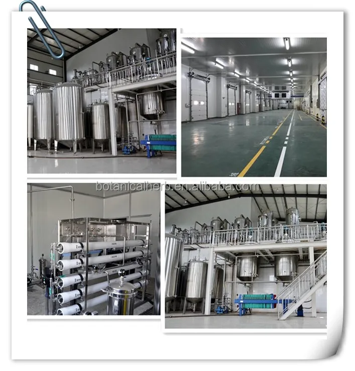 china baicalein powder factory