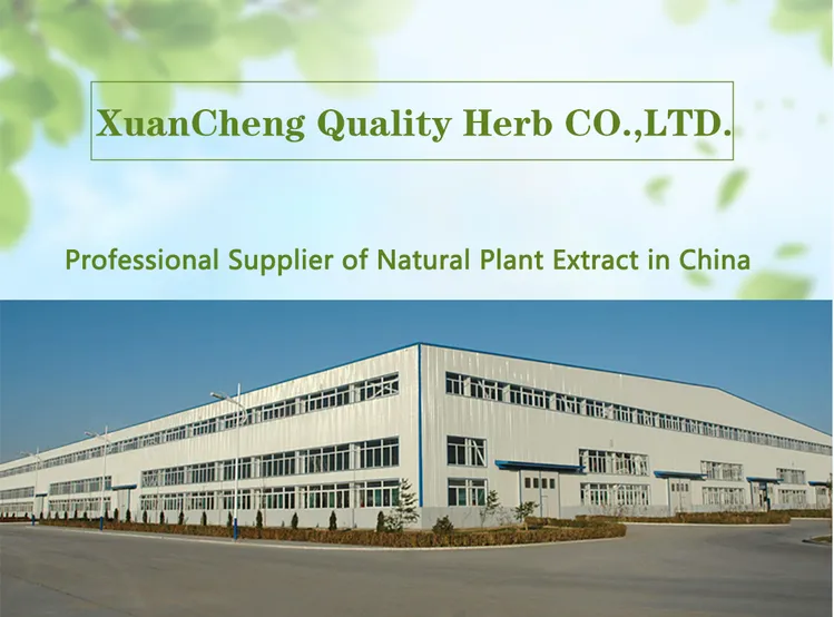 china baicalein powder factory