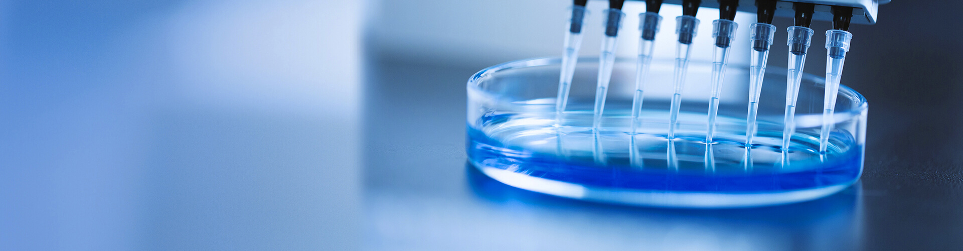 china barium fluoride granular baf2 factory