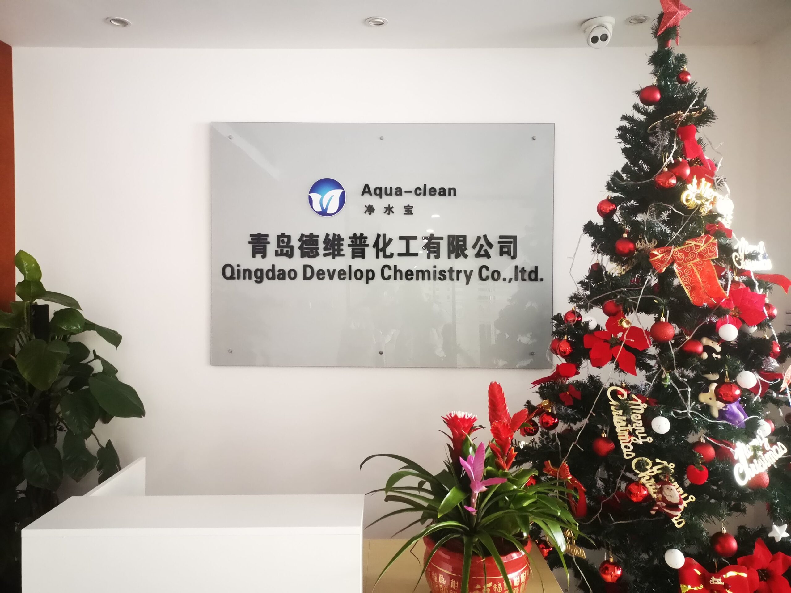 china bcdmh 20g supplier