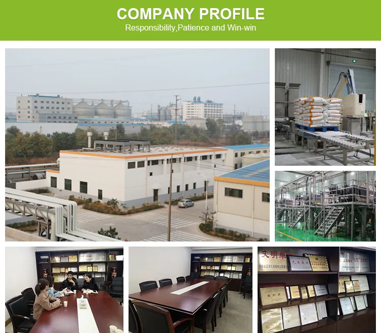 china benzoic acid factory