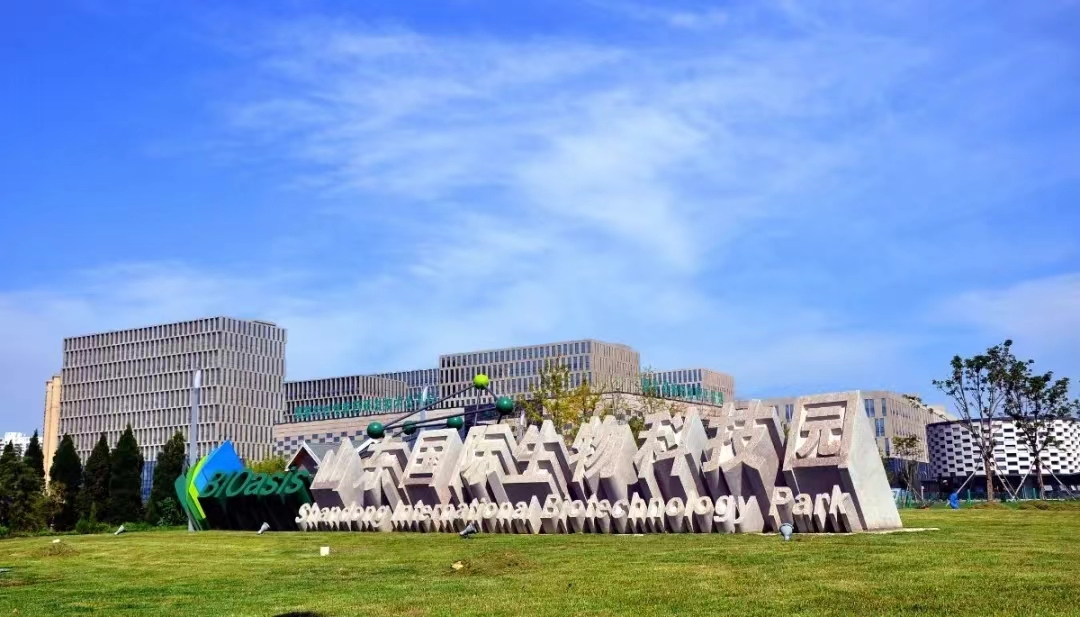 china benzoic acid factory