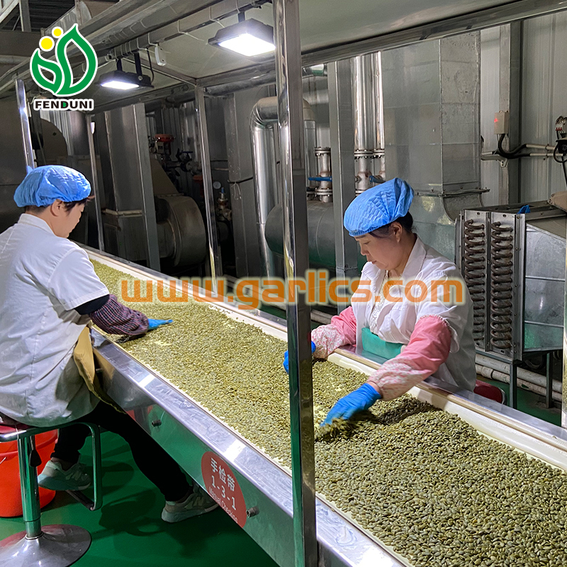 china best pumpkin seeds manufacturer
