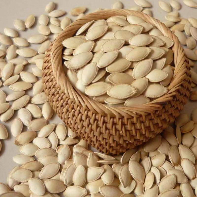 china best pumpkin seeds manufacturer