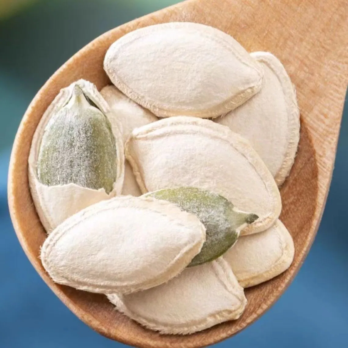 china best pumpkin seeds manufacturer