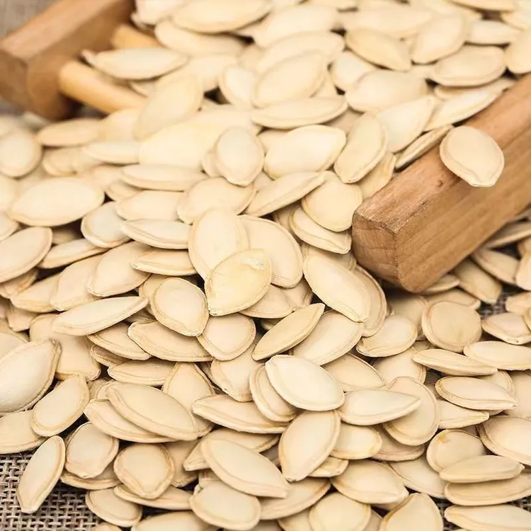 china best pumpkin seeds manufacturer