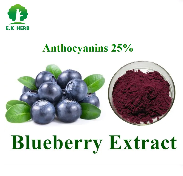 china bilberry extract factory