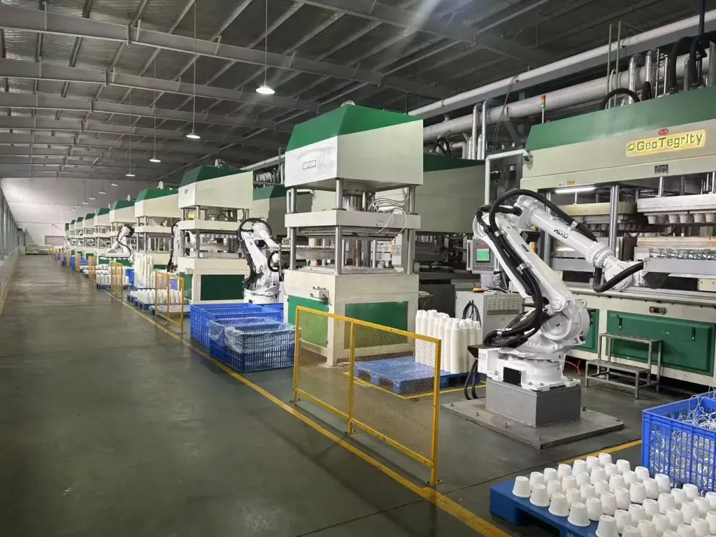 china biodegradable tray factory China Factory