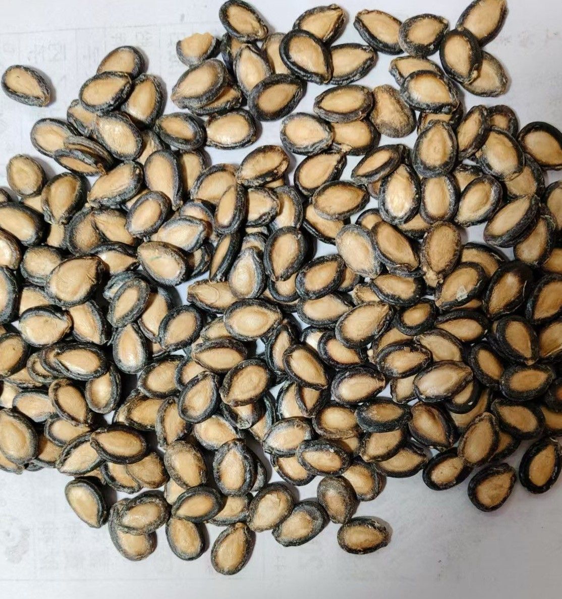 china black melon seeds factory