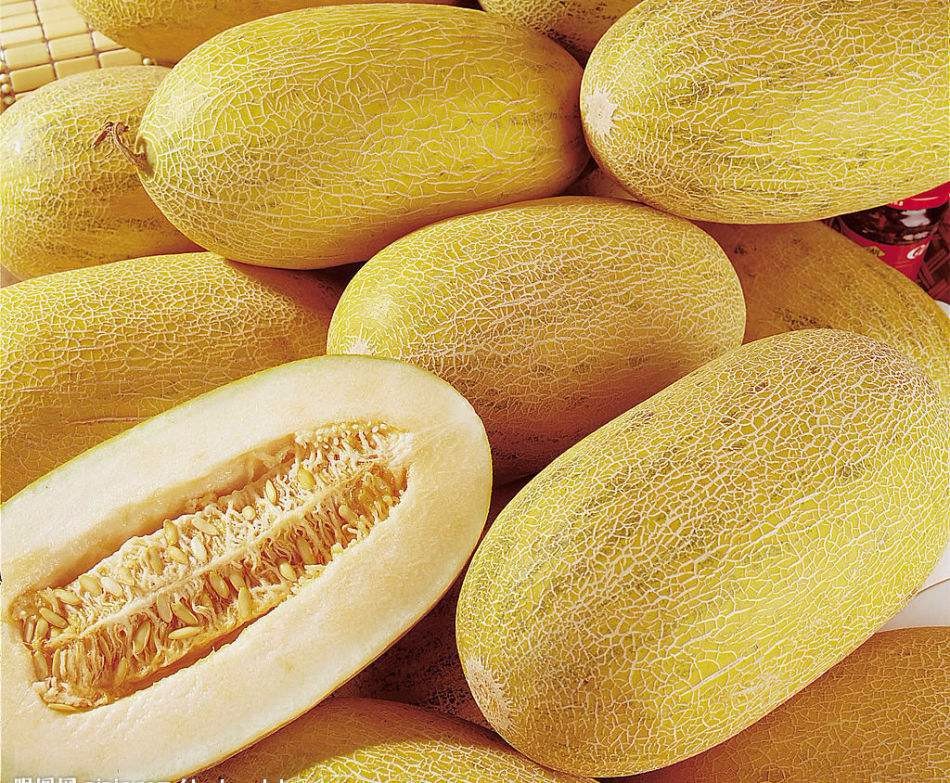 china black melon seeds factory