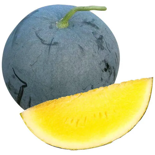 china black seedless watermelon seed supplier