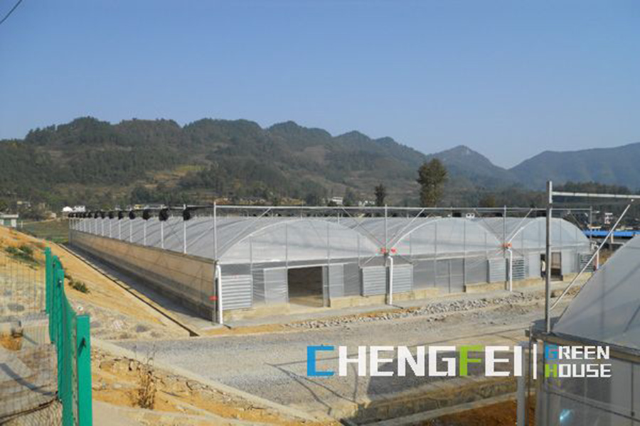 china blackout greenhouse manufacturers