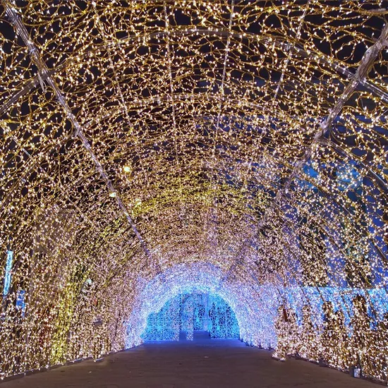 china bm pendant string lights supplier