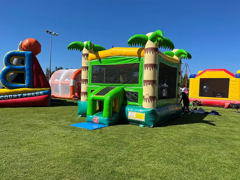 china bounce house manufacturer