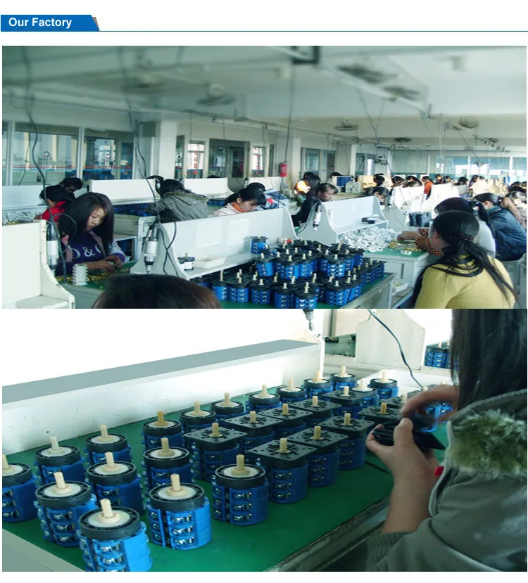china bremas rotary switch factory