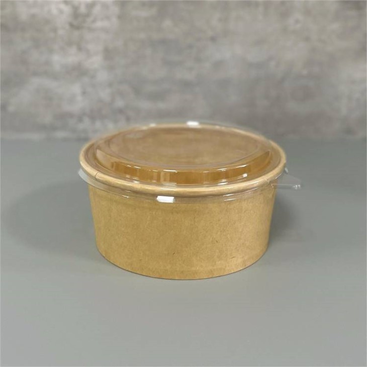 china brown disposable bowls factory