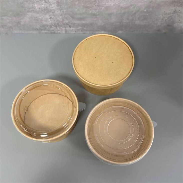 china brown disposable bowls factory