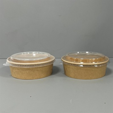 china brown disposable bowls factory