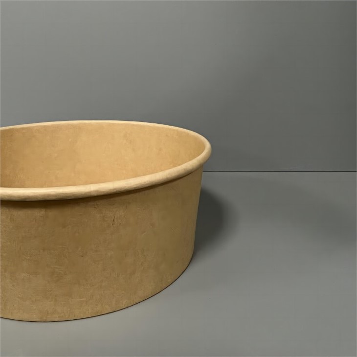 china brown disposable bowls manufacture