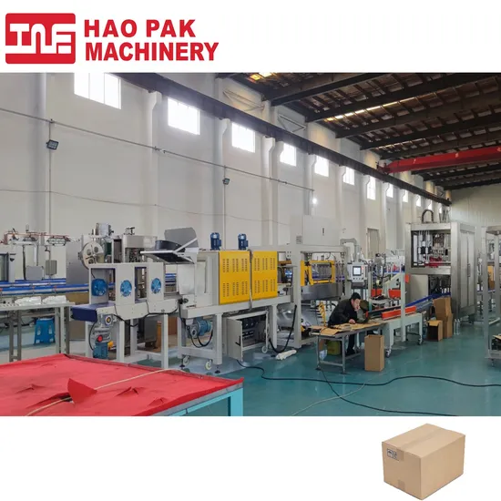 china case packer machine factory
