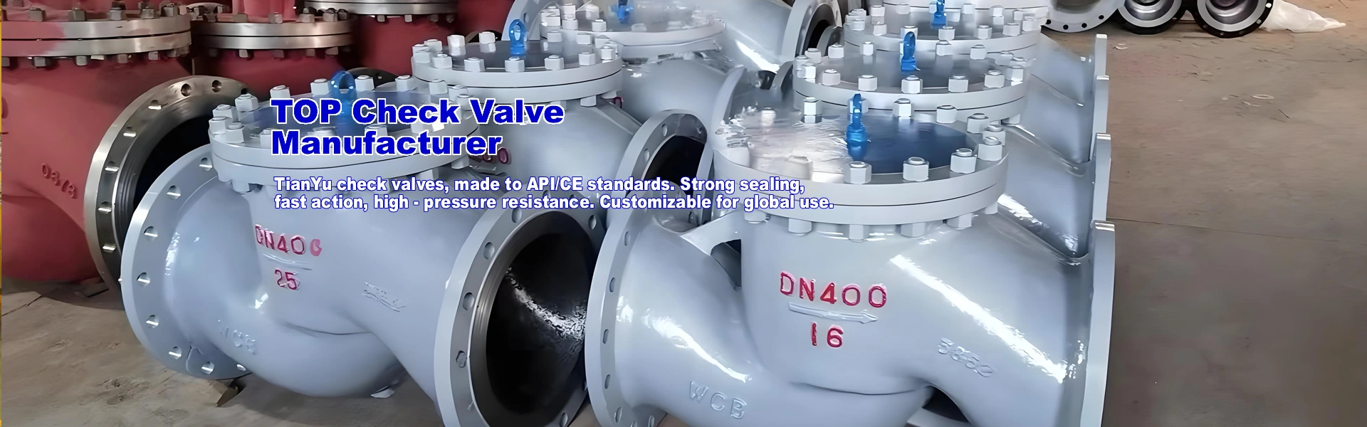china check valve supplier
