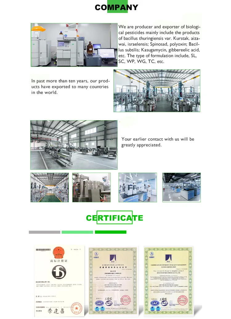 china chitosan oligosaccharide powder factory