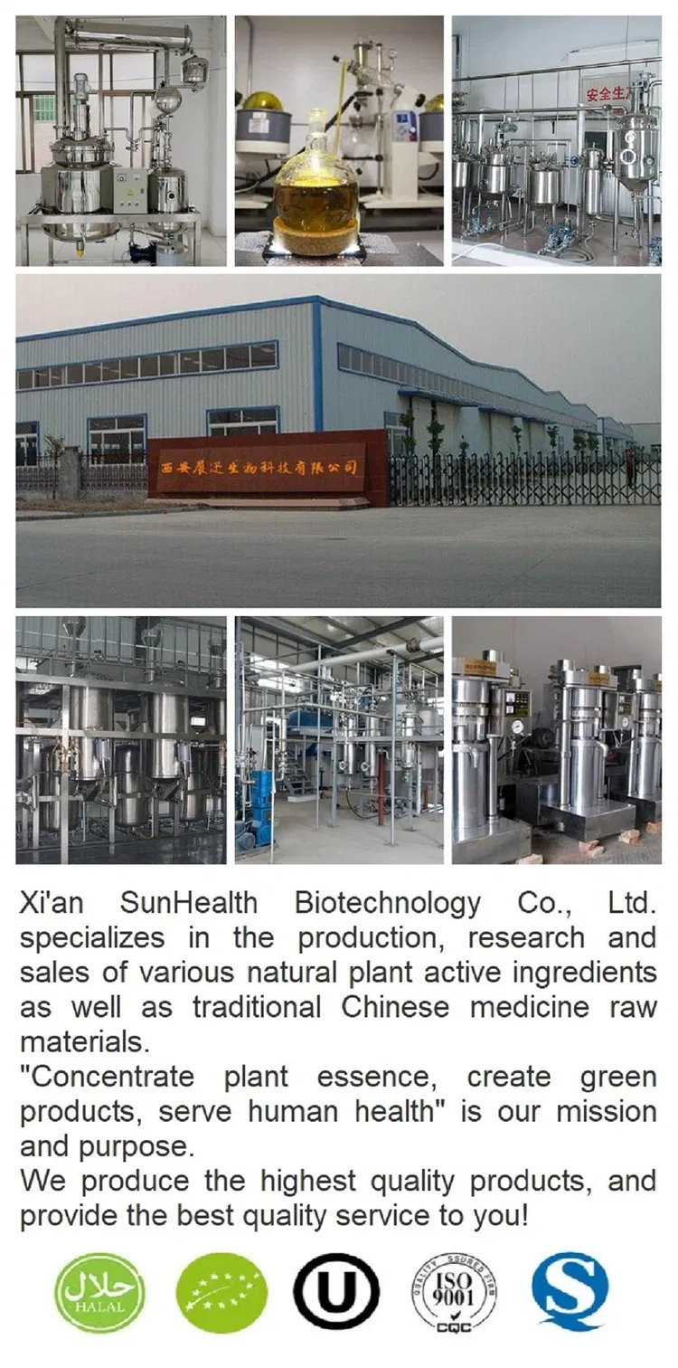 Sourcing China Chlorogenic Acid Factory from China: The Ultimate Guide 2026