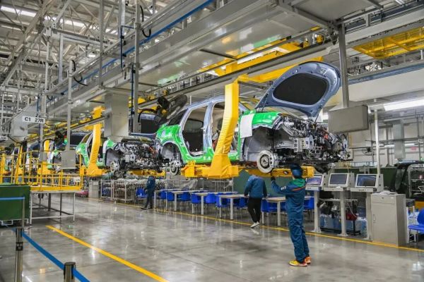 china chlorogenic acid factory