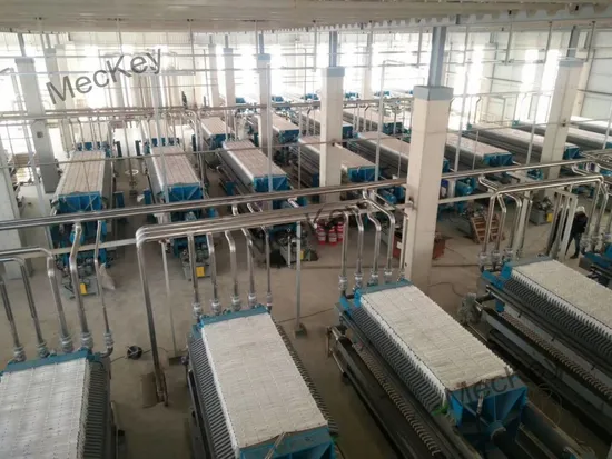 china citric acid manufacturer