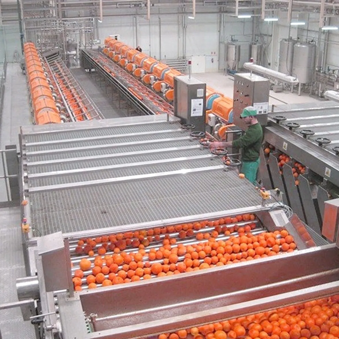 china citrus aurantium extract factories