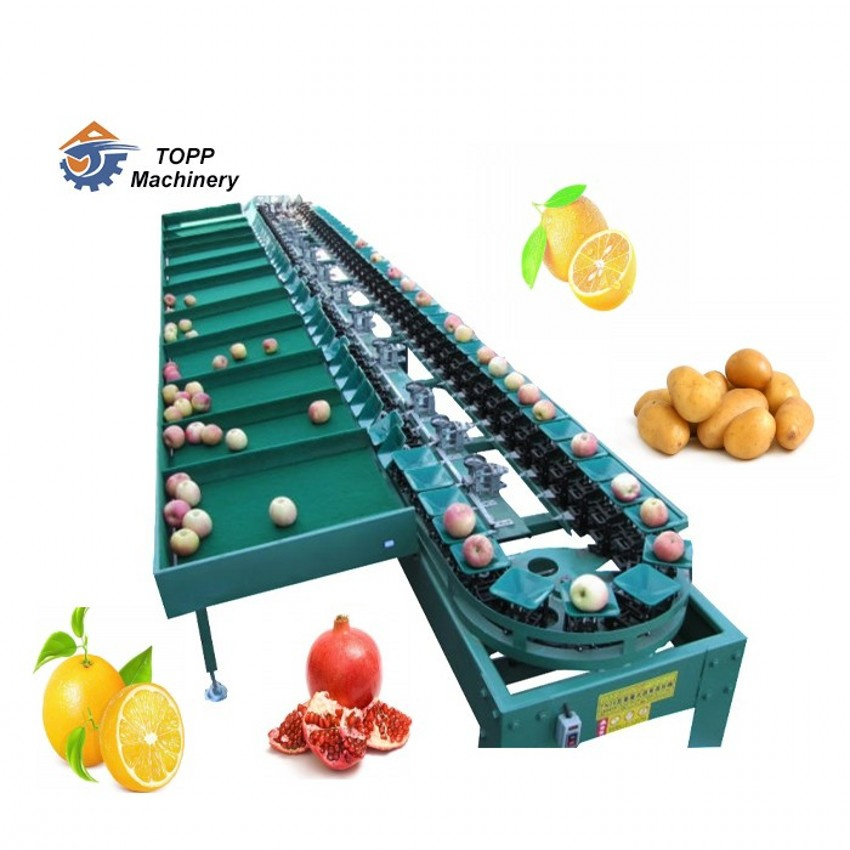 china citrus aurantium extract factory