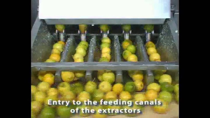 china citrus aurantium extract factory