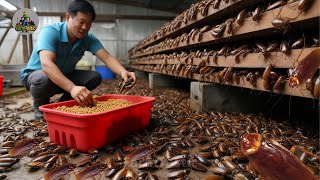 china cockroach factory