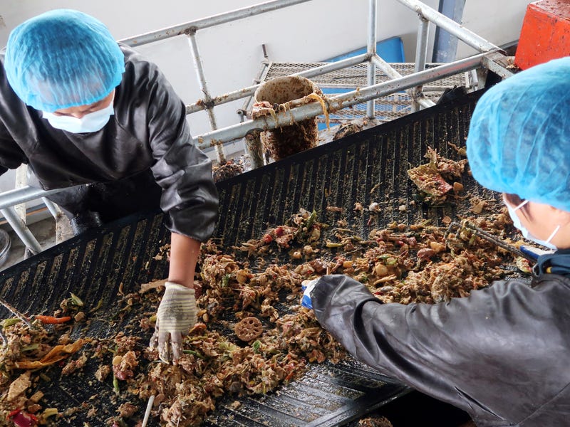 china cockroach factory