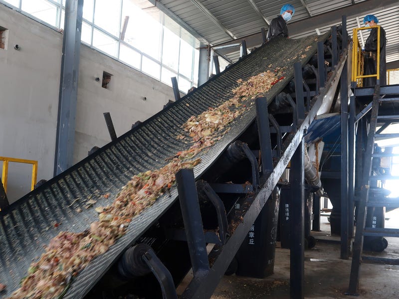 china cockroach factory