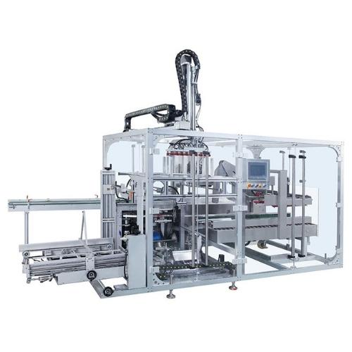 china combi case packer manufacture