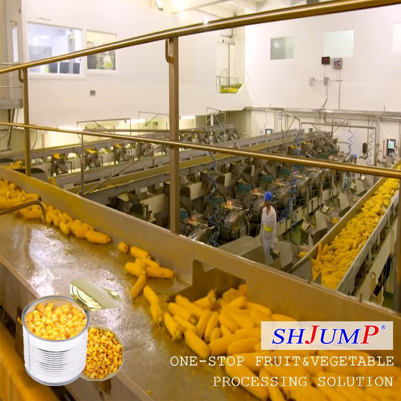 china corn supply China Factory