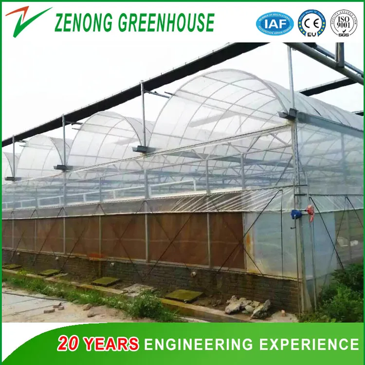 china cross vent greenhouse manufacturers