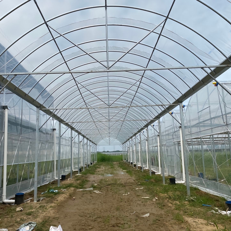 china cross vent greenhouse manufacturers