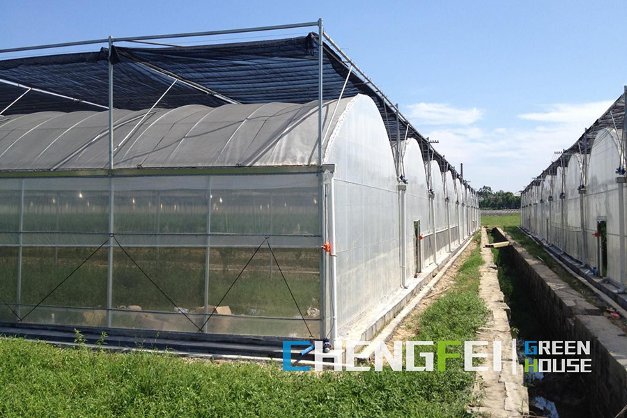 china cross vent greenhouse manufacturers