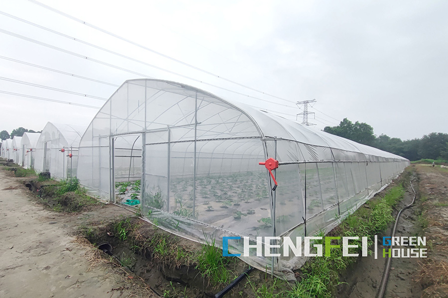 china cross vent greenhouse manufacturers