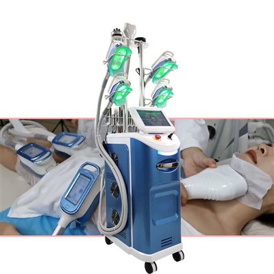 china cryolipolysis machine factory